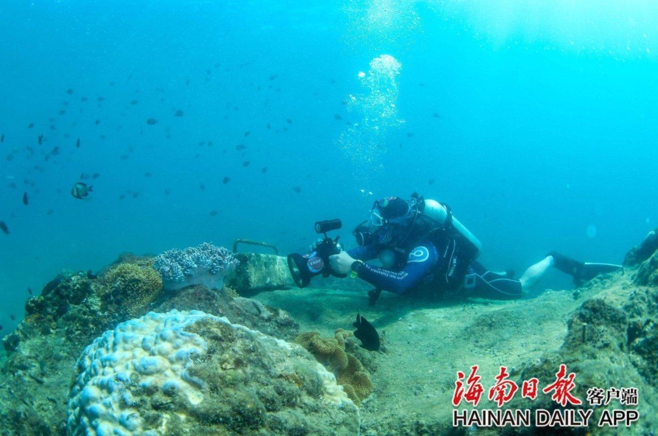 妙鸭相机app下载官网