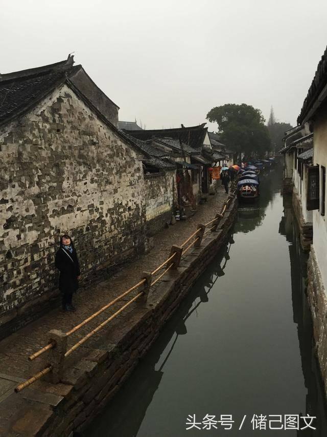 鲈鱼是做汤好还是清蒸葱油好呢?-有问必答平台,解决你的疑问